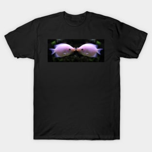 Give Me A Kiss - Kissing Fish T-Shirt